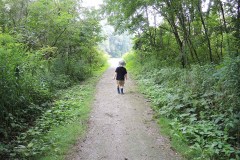 Young child walking down a forested path at Strathroy Conservation Area