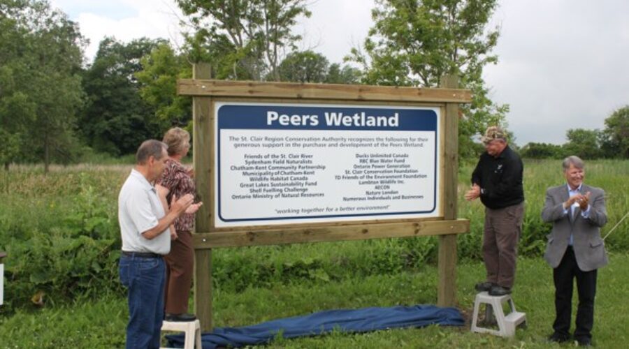Peers Wetland Opening