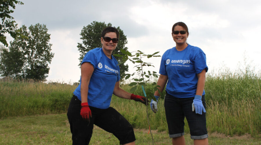 union gas employees help plant trees at Mclean