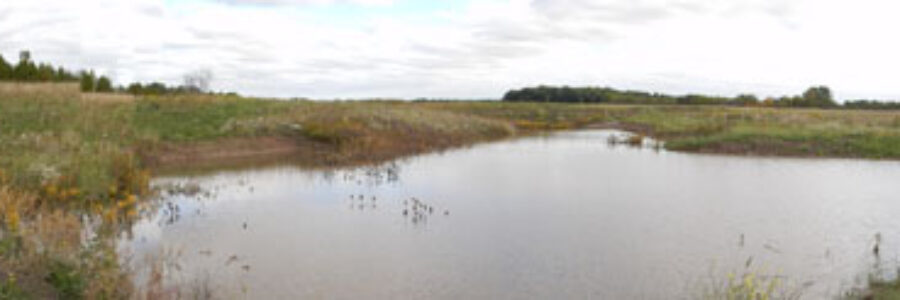 Habitat Conservation, Restoration and Enhancement on the North Sydenham River