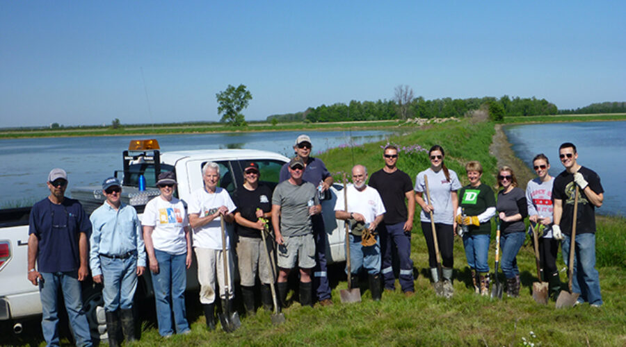 a group of volunteers help plant trees and shrubs at the Forest Sewage Lagoons