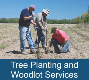 Tree Planting and Woodlot Services