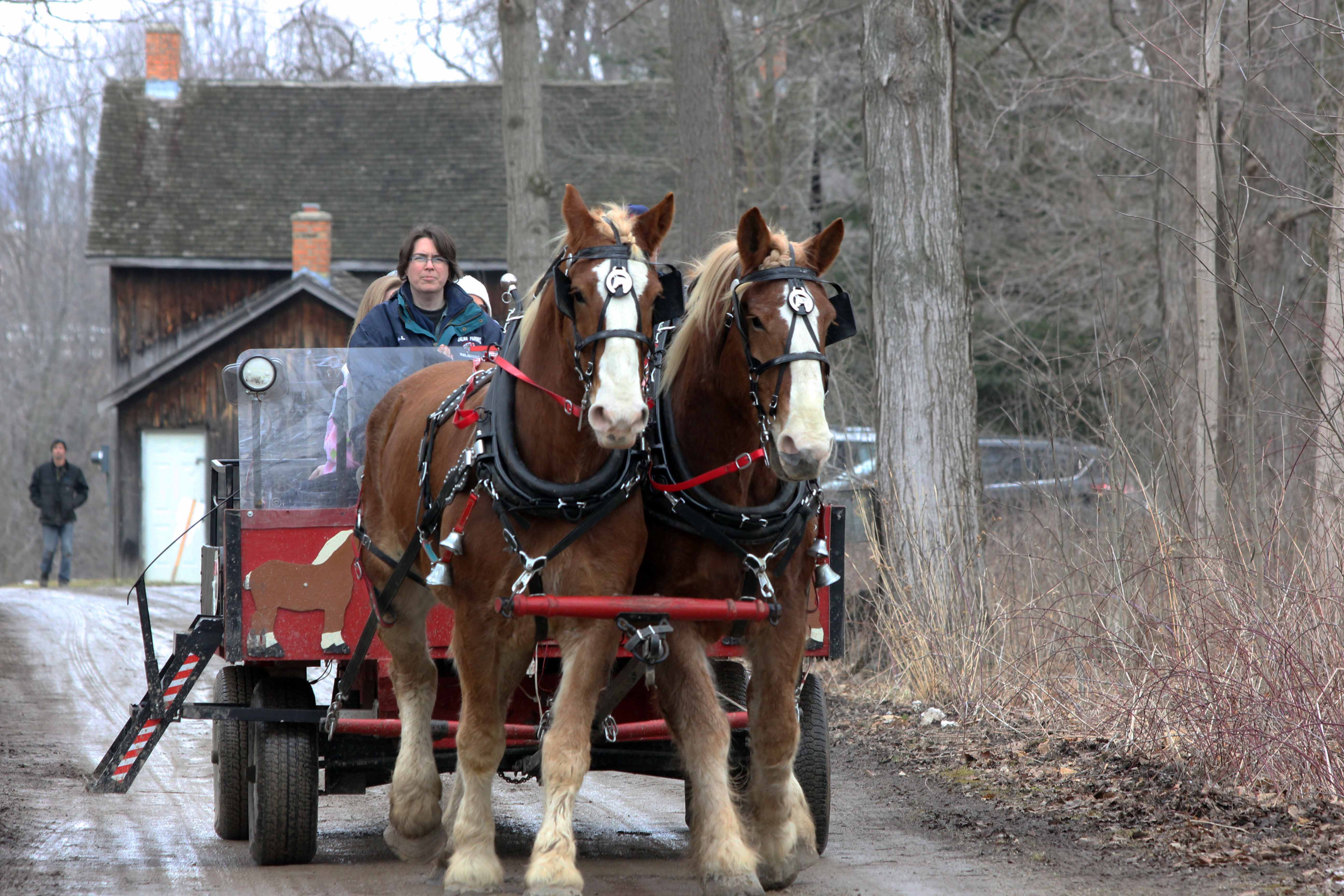 CANCELLED Maple Syrup Festival St. Clair Region Conservation Authority