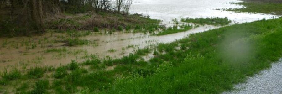 flooding of farmers field showing large pools of water