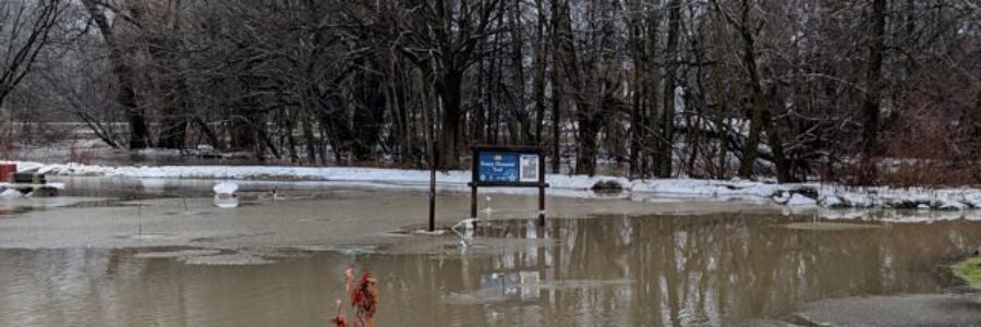 image of a flooded park due to recent ice and snow melt 2