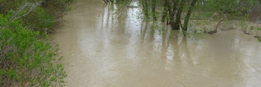 image of a swollen watercourse that has topped its banks due to extensive rain and flooded trees
