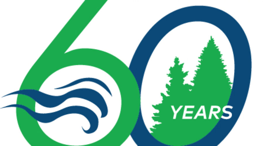 Celebrating 60 years logo