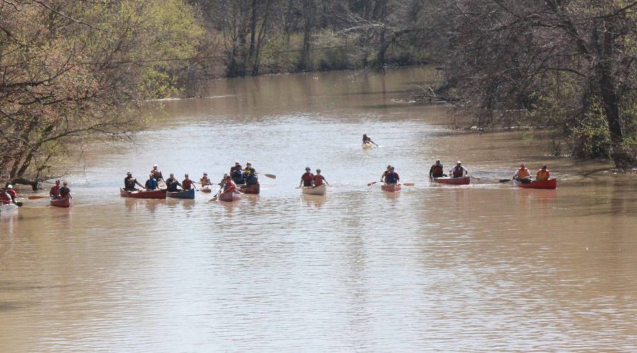 Canoeists paddle down the Sydenham River