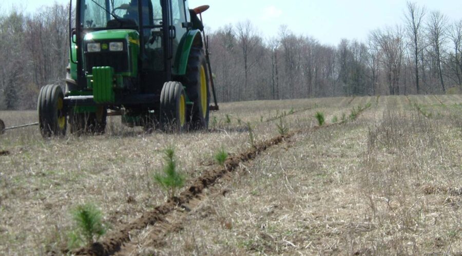 A St. Clair Region Conservation Authority machine-planting crew plants seedlings at a local landowner’s property.