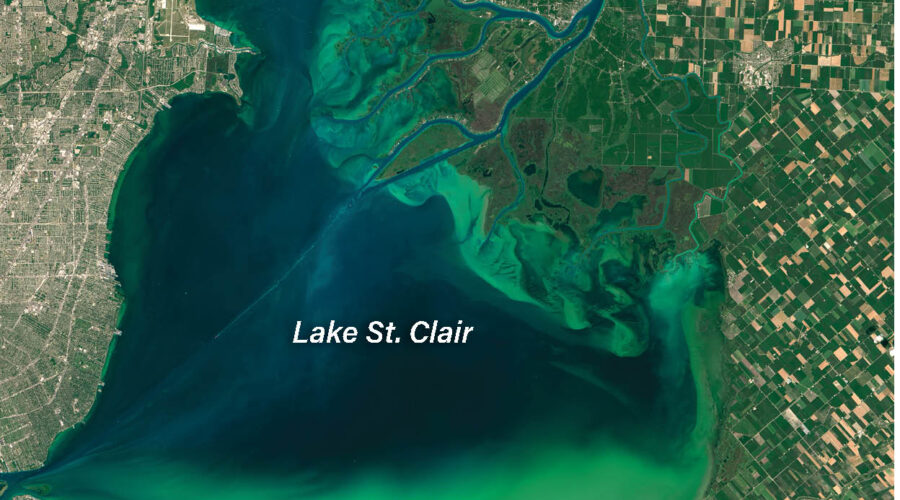 Aerial photo from space of a large green algal bloom on Lake St. Clair. Image by NASA Earth Observatory, 2015