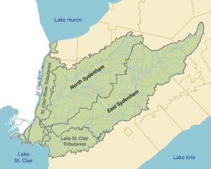 A map of the Sydenham Watershed showing the drainage areas of the two main branches, the North Branch and the East Branch, as well as the St. Clair River Tributaries and Lake St. Clair Tributaries