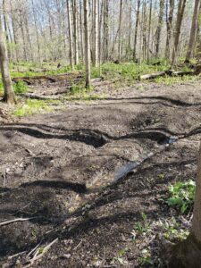 Damage and ruts along a trail at Coldstream Conservation Area