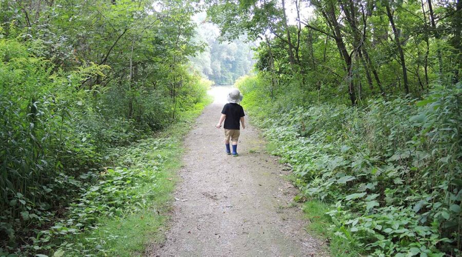 Young child walking along a forested path