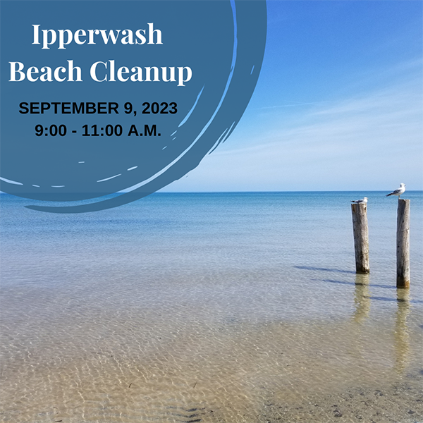 Ipperwash Beach Cleanup St Clair Region Conservation Authority 4454