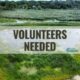 SCRCF Looking for Volunteers