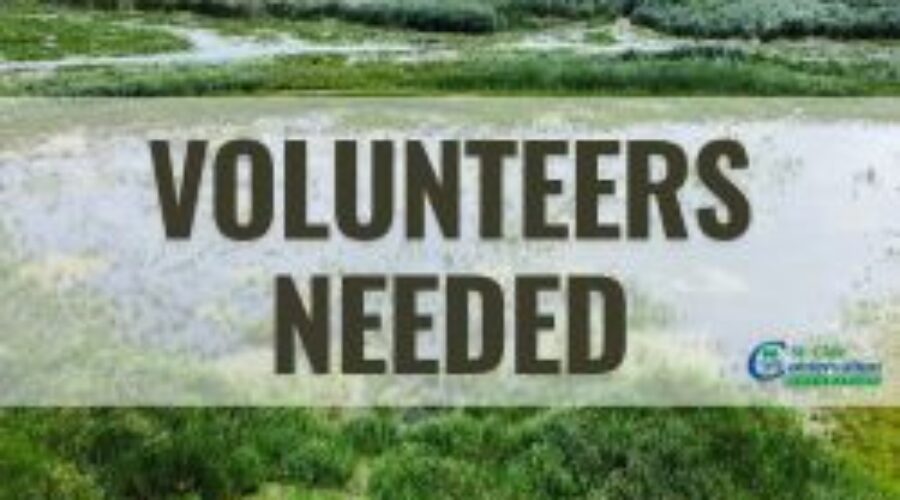 SCRCF Looking for Volunteers